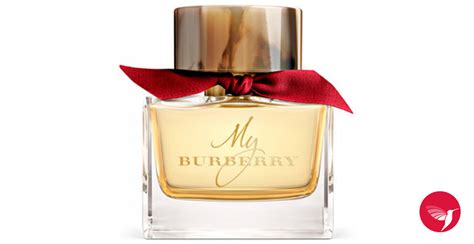 burberry limited edition|burberry store online.